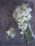 �E�G�f�B���O�h���X��