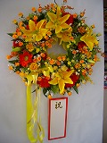�V���N�t�����[�J�X�j����