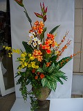 �w���R�j�A�@�v�������A���@�g�Q�Q�O��